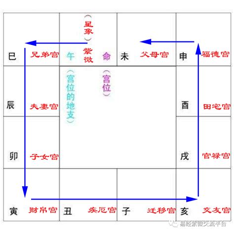 孤命|紫微斗数诸星落命宫之：孤辰、寡宿详解【命理八字实战】